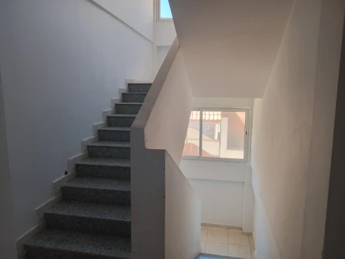 Vente Terrain Alger Saoula