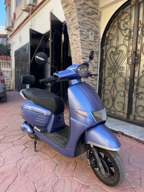 Moto Rissol Buston 2024