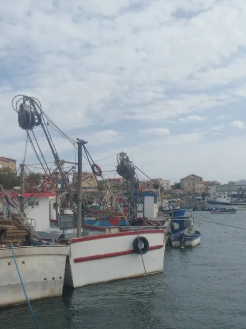 sardinier en activité a vendre
