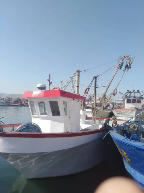 sardinier en activité a vendre
