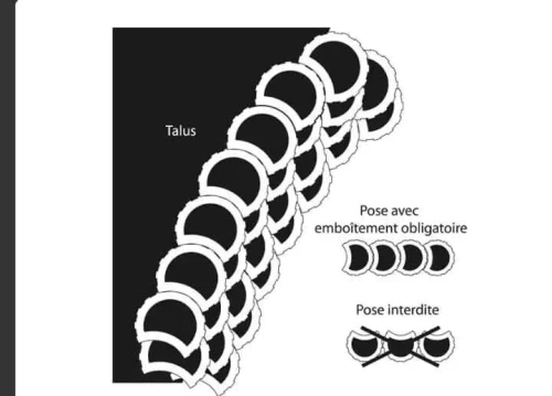 Atalus tout les types 