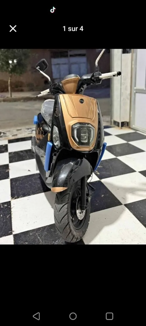 Vms Estiut x Nv 2024