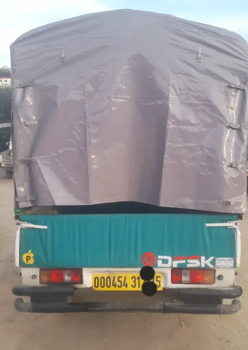 DFSK Mini Truck 2012