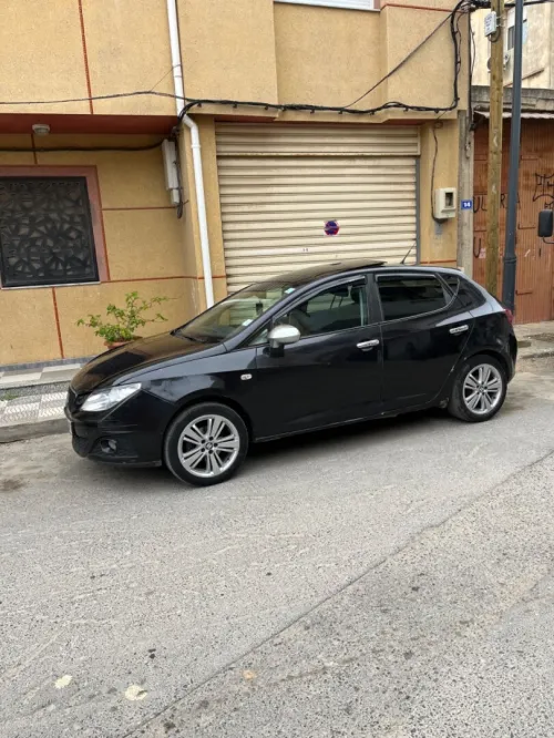 Seat Ibiza 2010 Loca