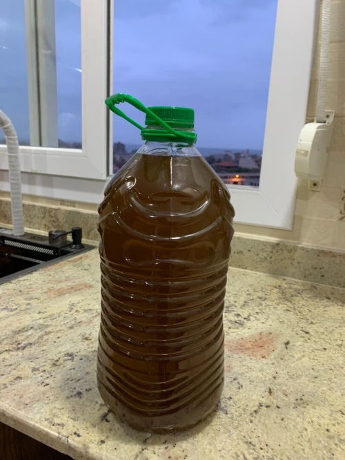 زيت الزيتون