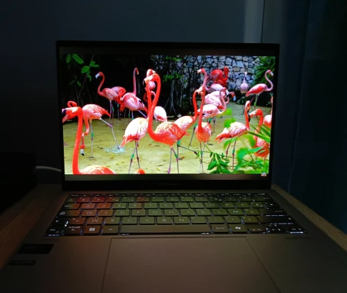 ASUS Zenbook S13 OLED  Ultra fin 1cm légér 1kg  16GB Ram 1TB SSD