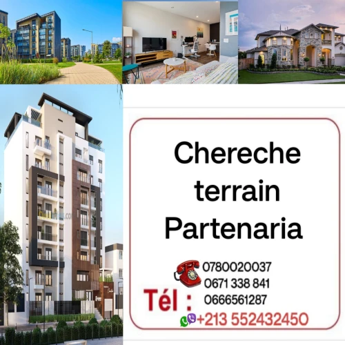 Cherche achat Terrain Tipaza Tipaza