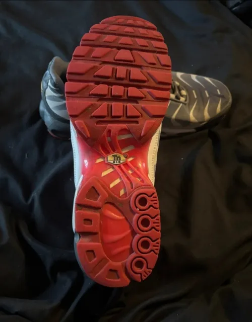 Nike tn requin
