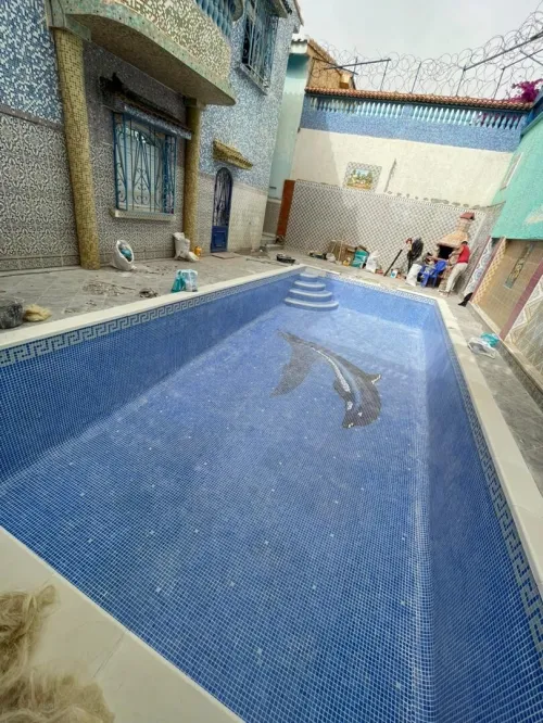 Construction et réalisation de piscine 
