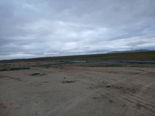 Vente Terrain Agricole Bouira Hadjera zerga