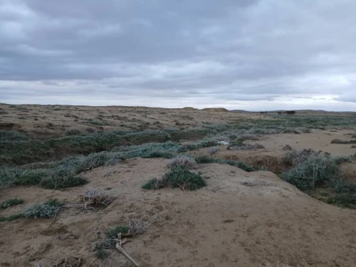 Vente Terrain Agricole Bouira Hadjera zerga