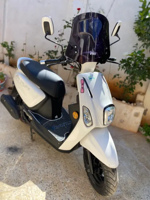 VMS Cuxi 2 2024
