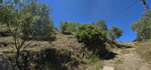 Vente Terrain Béjaïa Bejaia