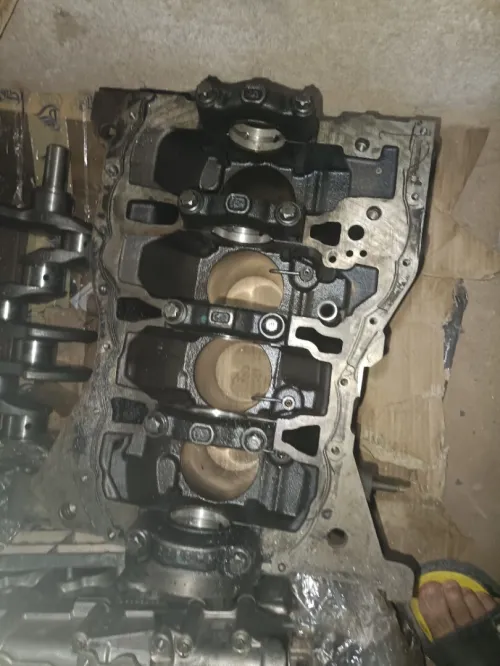 Clio 5 RSline