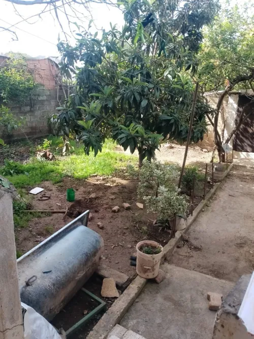 Vente Villa Blida Larbaa