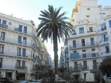 Vente Appartement F3 Alger Alger centre