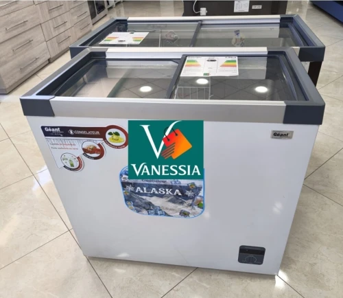 Congélateur Vitré 254L Marque Géant