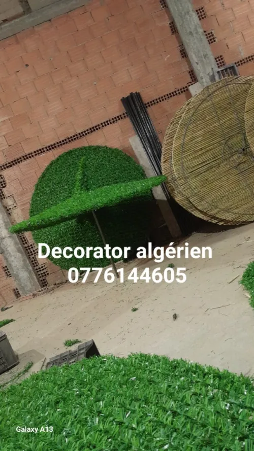 Parasol de plage artistique