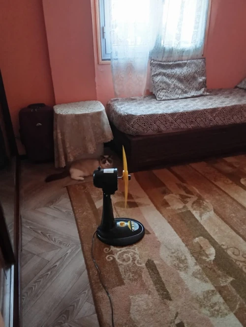 Vente Appartement F3 Alger Rouiba
