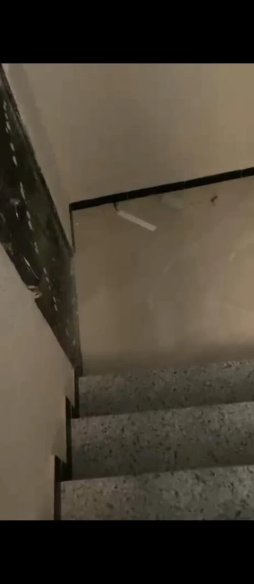 Vente Appartement Boumerdès Zemmouri