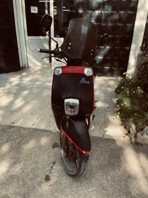 VMS Estat 2020