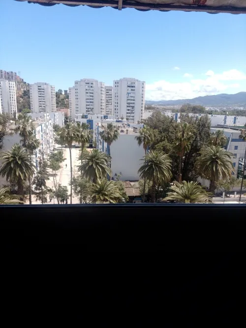 Location Appartement F3 Skikda Skikda