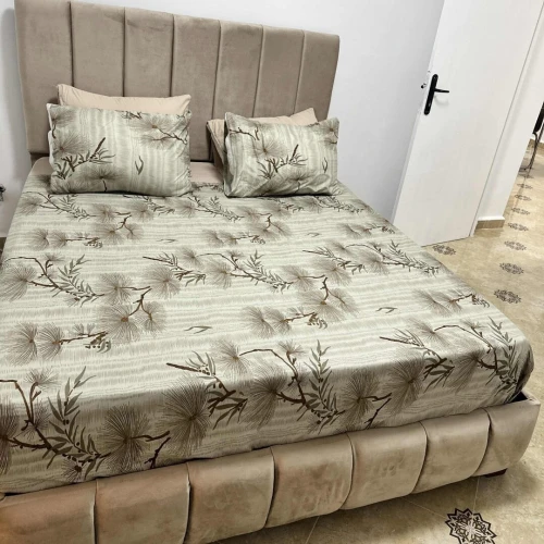 Location Appartement F3 Alger Ain benian