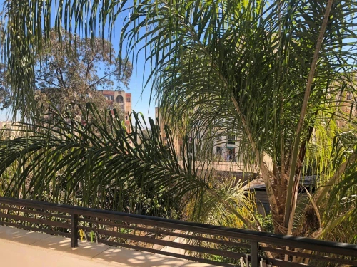 Vente Villa Alger Birkhadem