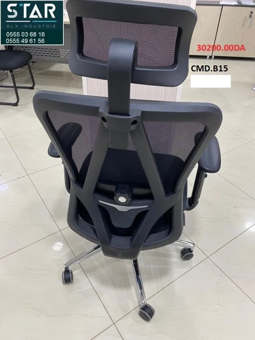 CHAISE ERGONOMIQUE B15