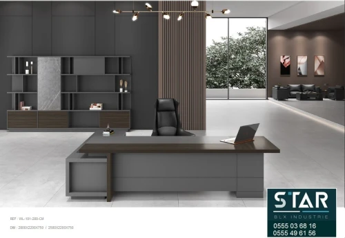BUREAU DIRECTIONNEL LIMITED