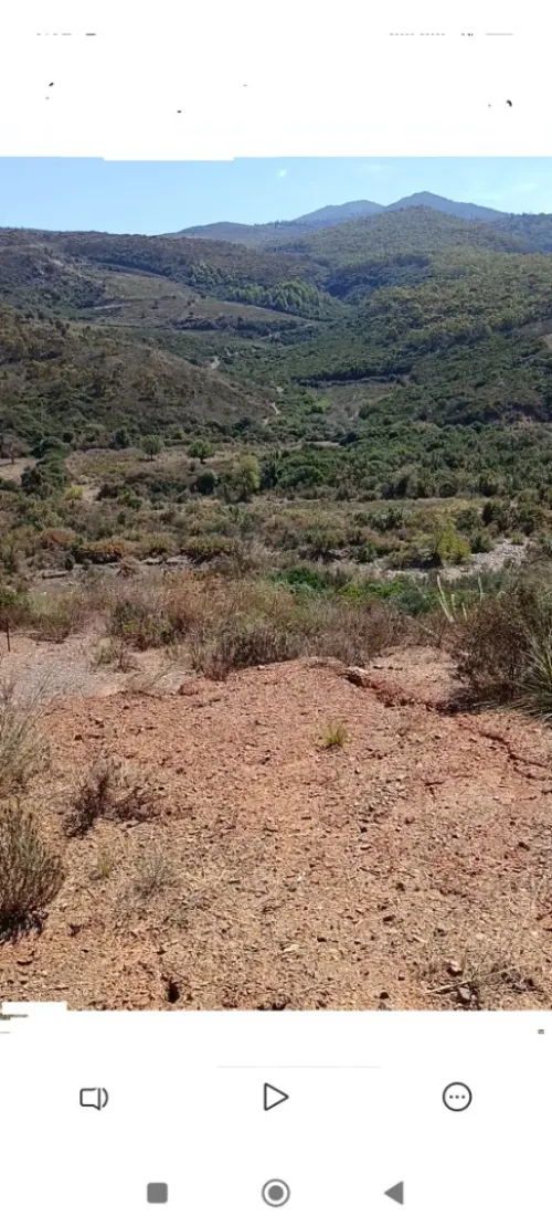 Vente Terrain Tizi Ouzou Azeffoun