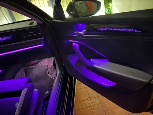 Volkswagen Passat 2025 MAGOTAN