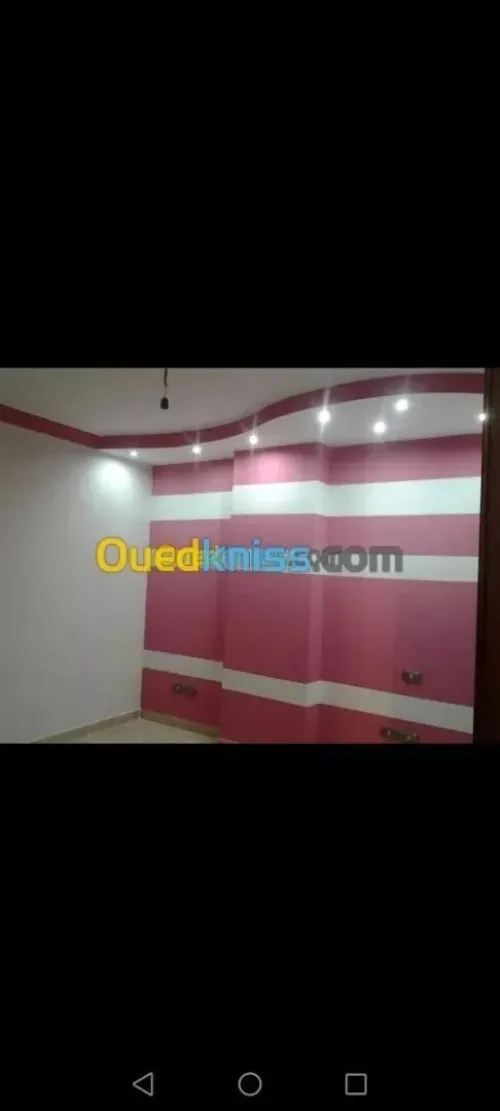 Placo platre & peinture 