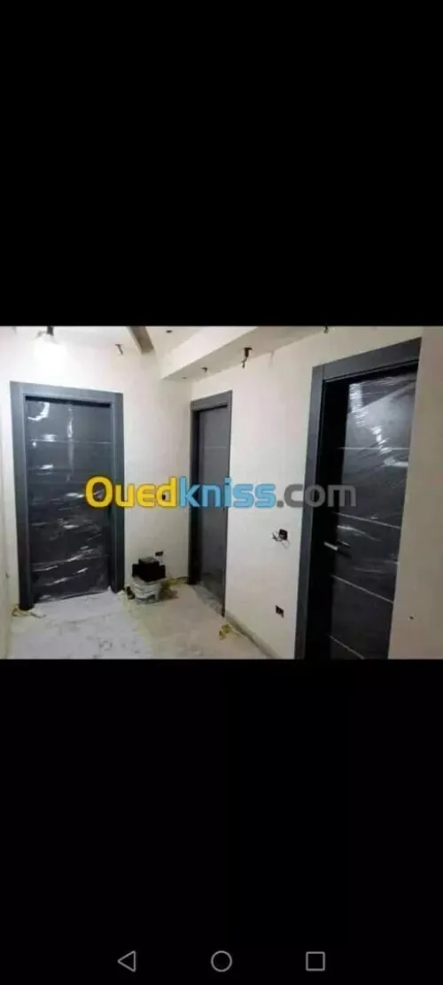 Peintre professionnel 