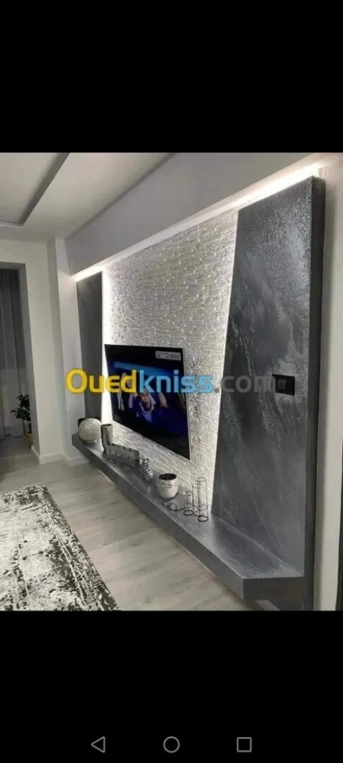 Peintre professionnel 