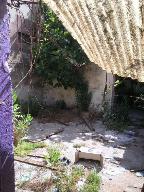 Vente Terrain Blida Ben khellil