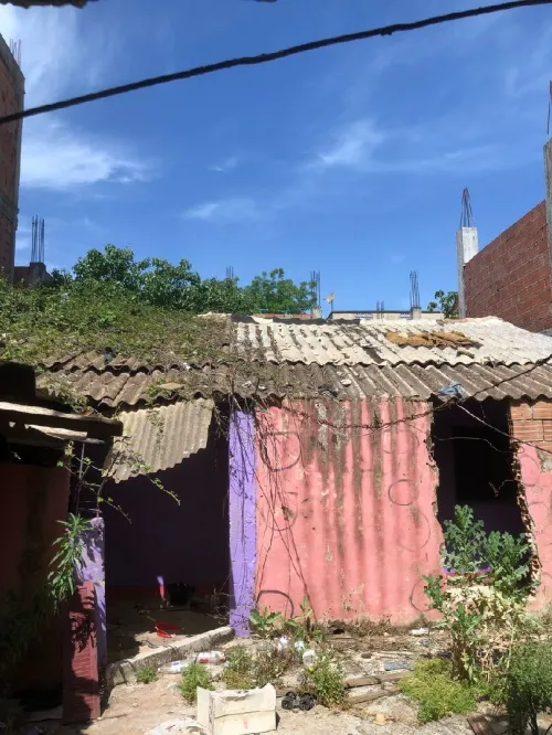 Vente Terrain Blida Ben khellil