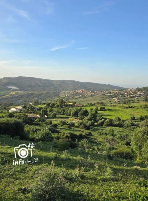 Vente Terrain Blida Djebara