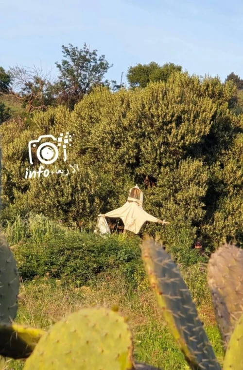 Vente Terrain Blida Djebara