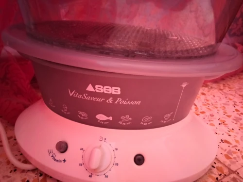 Cuiseur vapeur 