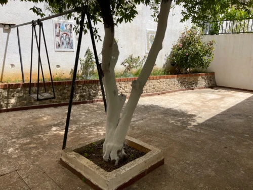 Location Villa Alger El biar