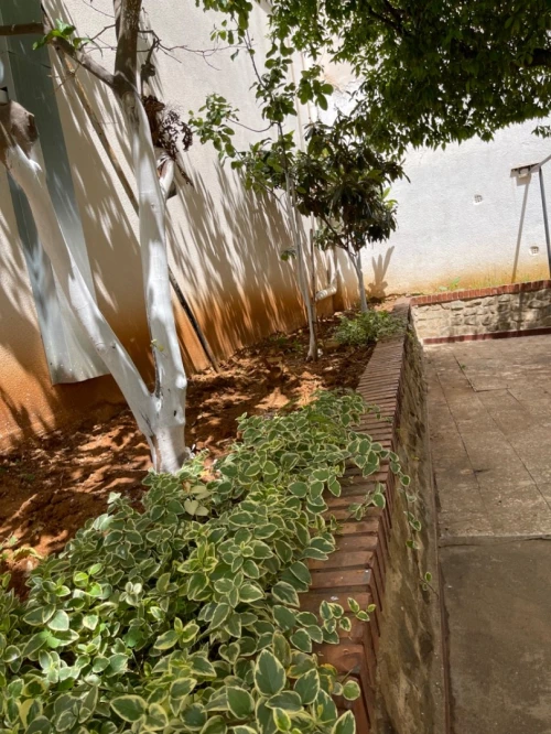 Location Villa Alger El biar