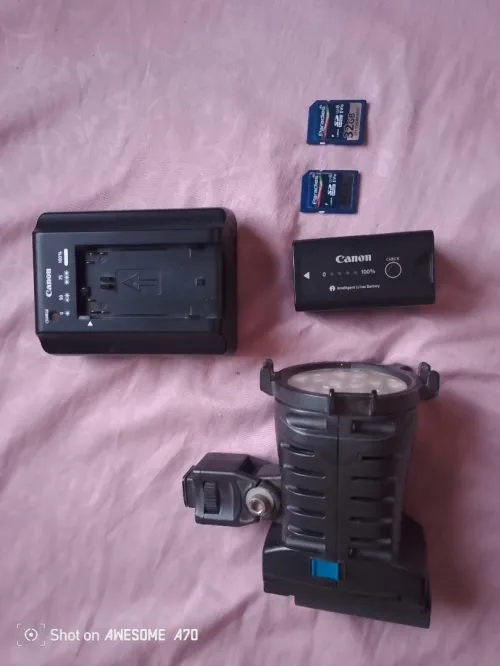Canon C100
