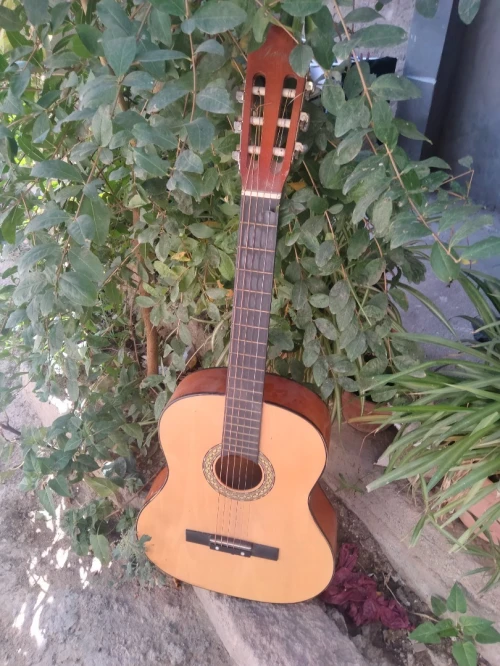Guitare sèche Jackson 