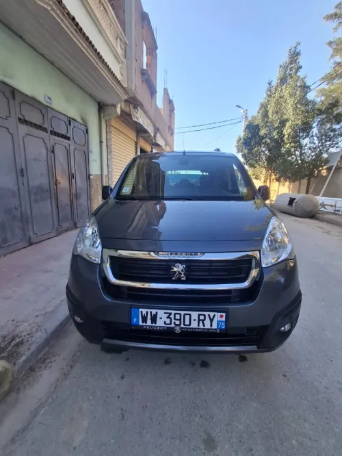 Peugeot Partner 2017 Tepee Outdoor