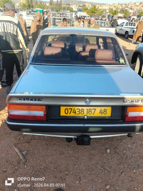 Peugeot 505 1987 505