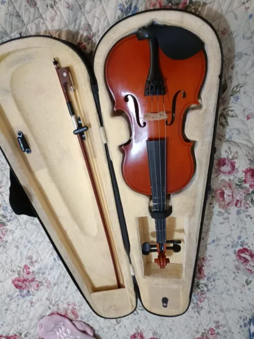VIOLON