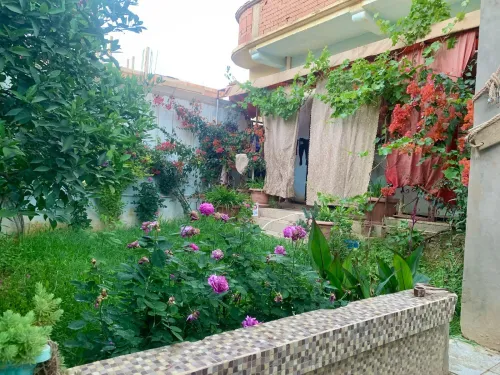 Vente Villa Aïn Defla Sidi lakhdar