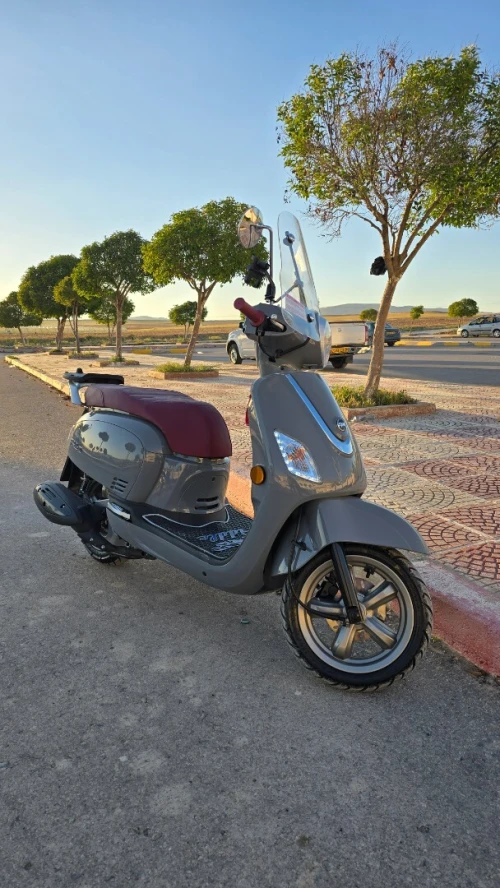 sym fiddle 3 2024