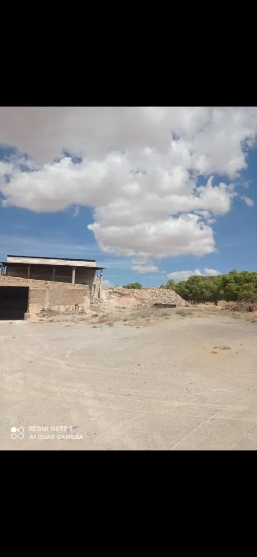 Vente Hangar - Usine Batna Djerma